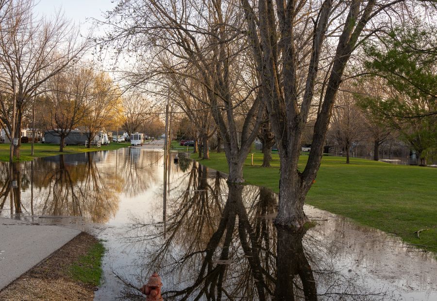 Standing water sitting across a lawn above a failed septic drain field