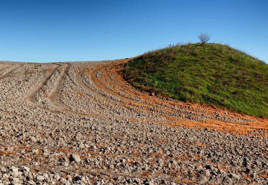 Grassed raised septic mound rising above the surrounding yard