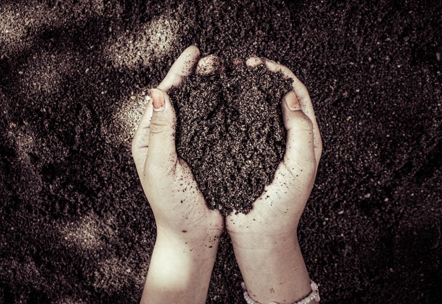 Two hands holding a scoop of dark moist soil taken from a test pit